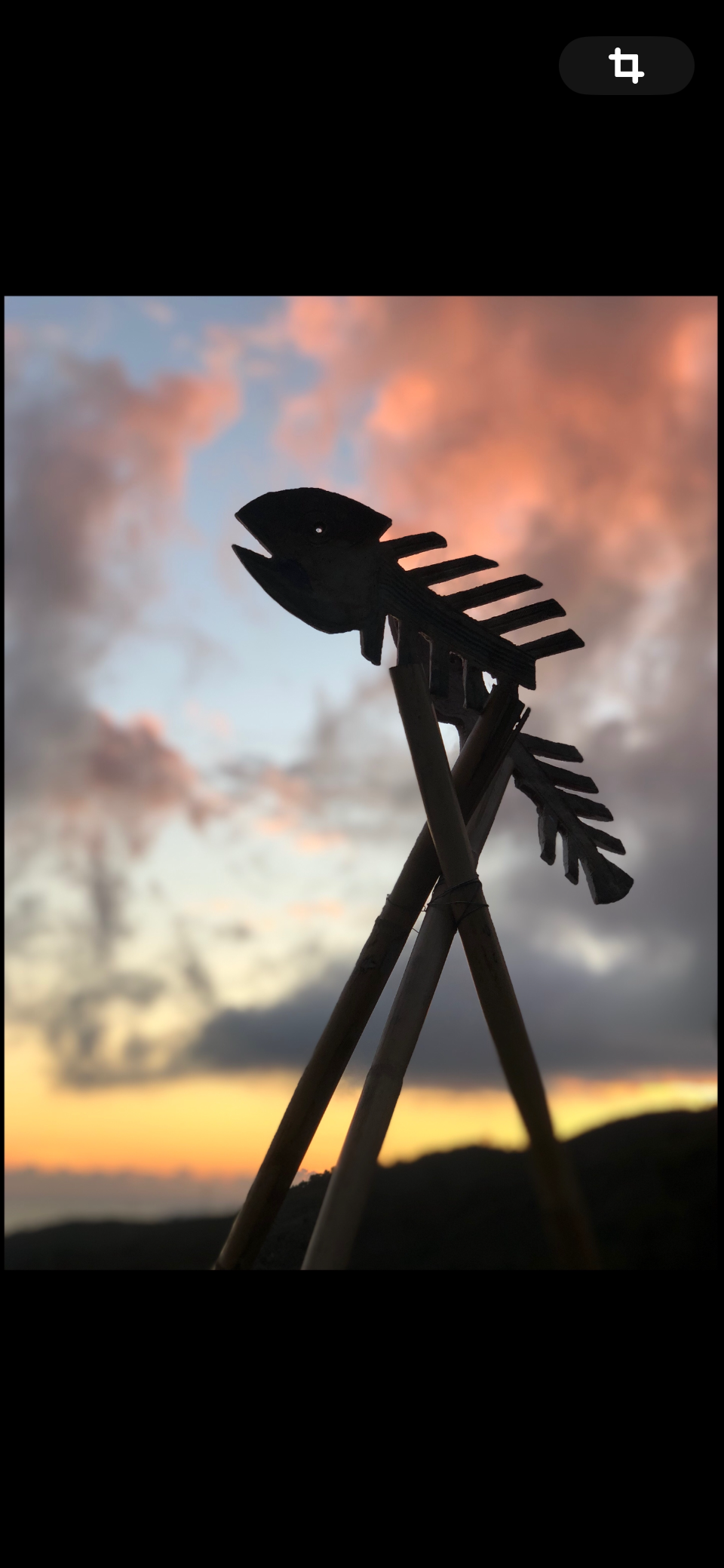 Contacter directement l’artiste via l’e-shop pettiti.shop ou le site officiel pettiti.art pour les céramiques , objets et sculptures